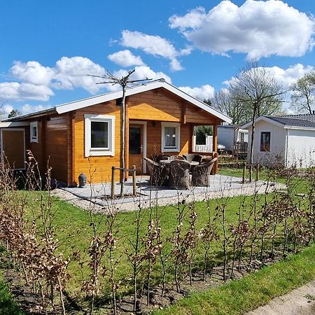 Nieuw - Luxe Blokhut Chalet In Bosrijke Omgeving Anloo Extérieur photo