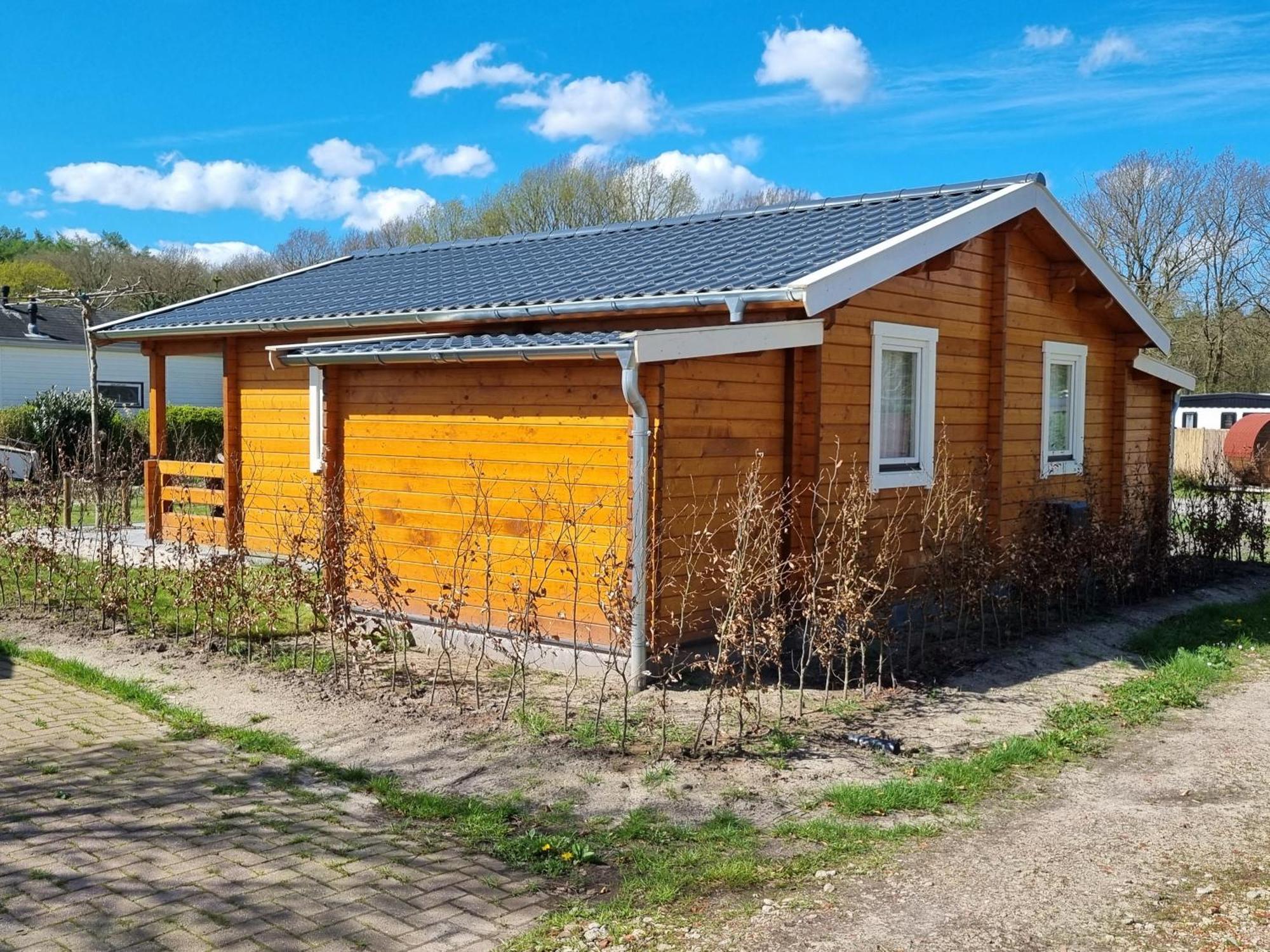 Nieuw - Luxe Blokhut Chalet In Bosrijke Omgeving Anloo Extérieur photo
